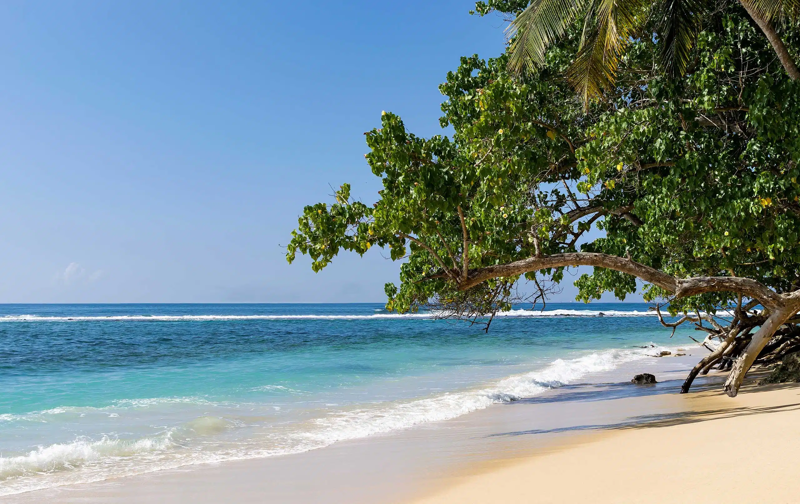 Amigo Caribbean Travel from San Jose